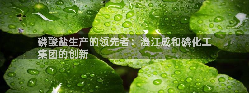 球盟会登录平台入口：磷酸盐生产的领先者：澄江成和磷化工
集团