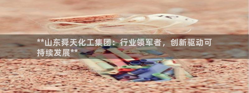 球盟会封号：**山东舜天化工集团：行业领军者，创新驱动可
持