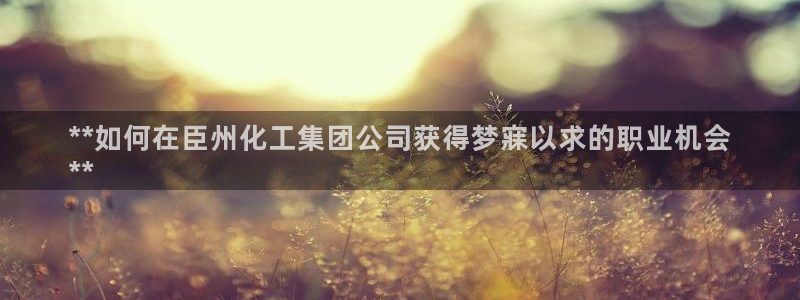 球盟会黑款吗知乎：**如何在臣州化工集团公司获得梦寐以求的职