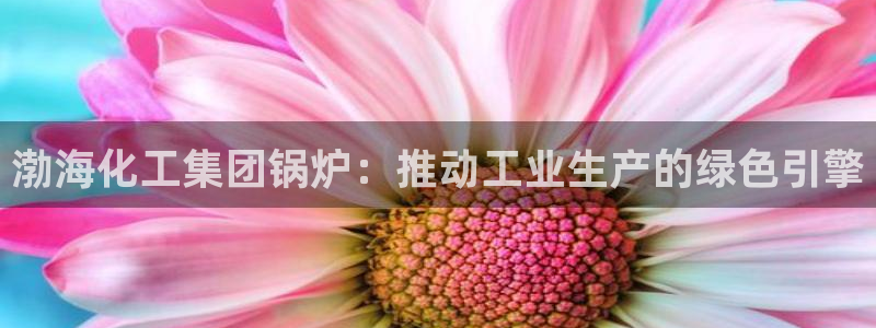 球盟会网址qm9 - 球盟会qmh网页版登录：渤海化工集团锅