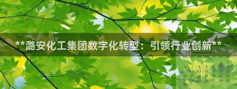 球盟会黑钱：**潞安化工集团数字化转型：引领行业创新**