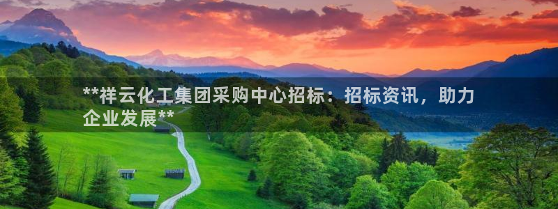 球盟会官方下载：**祥云化工集团采购中心招标：招标资讯，助力