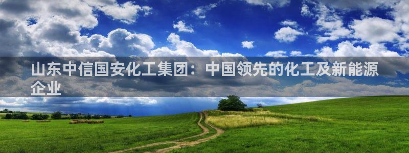 球盟会游戏：山东中信国安化工集团：中国领先的化工及新能源
企