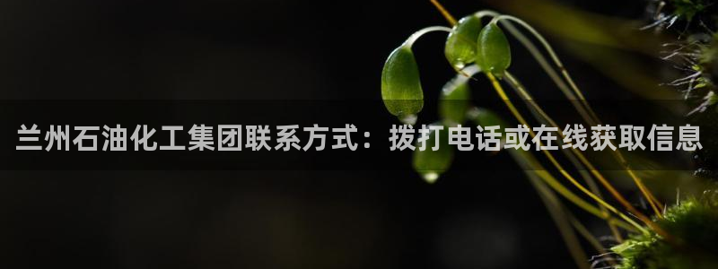 球盟会登陆：兰州石油化工集团联系方式：拨打电话或在线获取信息