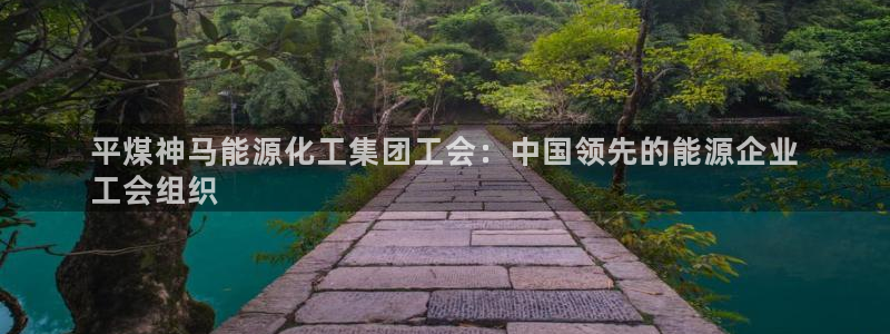 球盟会网址多少：平煤神马能源化工集团工会：中国领先的能源企业