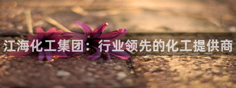 球盟会游戏几点玩合适：江海化工集团：行业领先的化工提供商