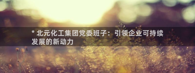 球盟会官网：* 北元化工集团党委班子：引领企业可持续
发展的