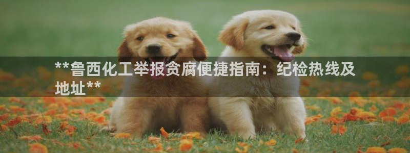球盟会黑款吗知乎小说：**鲁西化工举报贪腐便捷指南：纪检热线