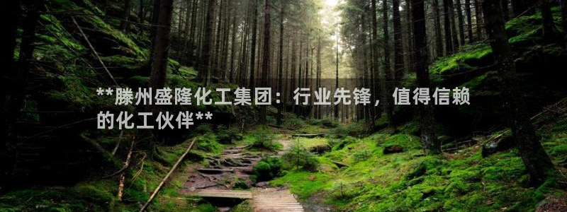 球盟会黑款吗知乎小说：**滕州盛隆化工集团：行业先锋，值得信